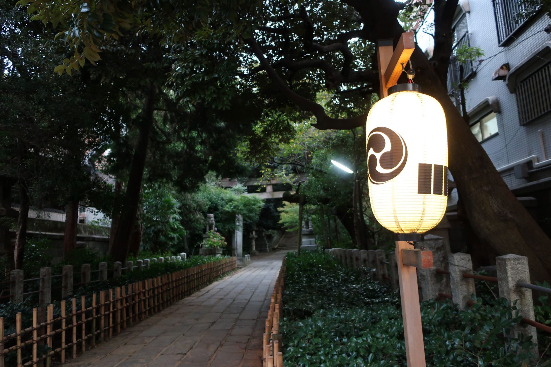 赤坂氷川神社　提灯